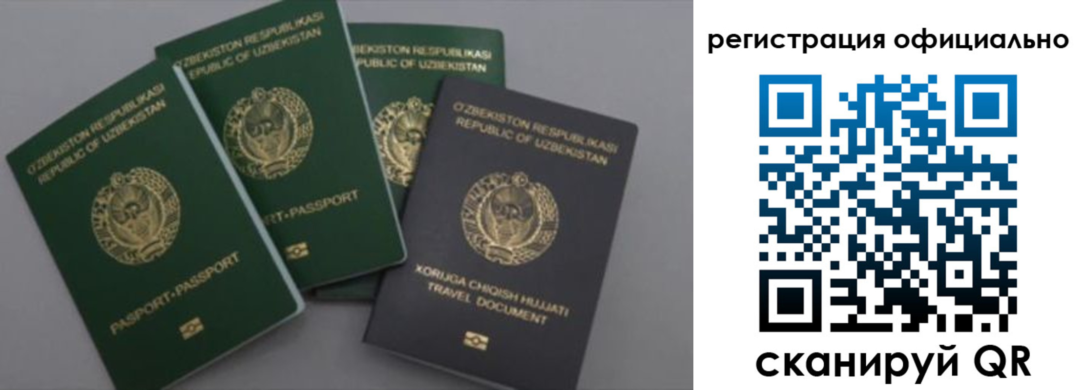 временная регистрация адрес в Ногинске